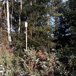 ZdenkaV na vrcholu U Vašutků (9.1.2022 10:43)