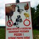 ZdenkaV on peak Krmelínský kopec