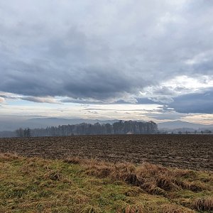 Hanys na vrcholu Kohout (2.1.2021 14:00)