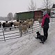 Iva Zahradilová na vrcholu Kohout (13.2.2021)