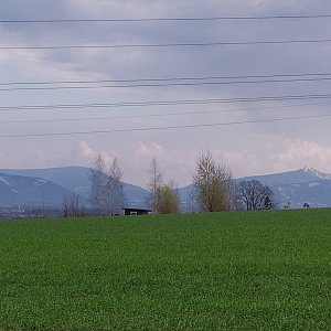 ŠenovKK na vrcholu Kohout (20.4.2021 16:29)