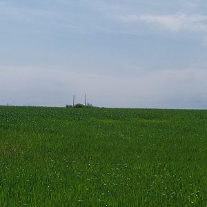 ŠenovKK na vrcholu Kohout (12.6.2021 10:03)