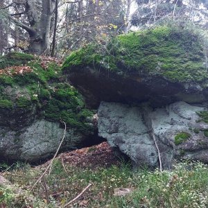Mykas na vrcholu Vlčí kámen (21.10.2025 17:37)