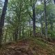 Ila on peak Hradiště Čeladná