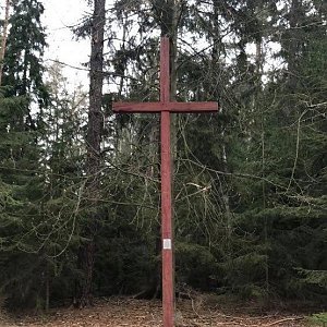 Ivetast na vrcholu U Červeného kříže (11.4.2021 14:36)
