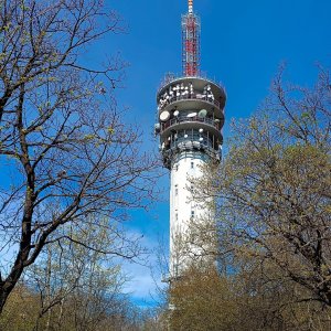 AlenaŠ on the summit of Hády (5.4.2026 12:09)