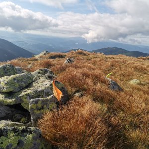 Šárka na vrcholu Konské (15.9.2023 10:03)