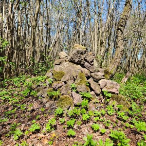 michalzhor na vrcholu Malý Roudný (20.4.2025 13:31)
