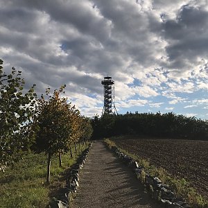 David na vrcholu Chocholík (4.10.2020 16:30)