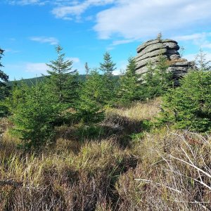 Mykas na vrcholu Klínový vrch (12.9.2025 16:59)
