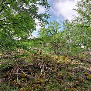 Cyklista 73 na vrcholu Popovská hora (21.5.2022 10:04)