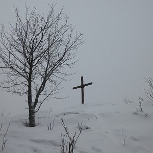 Nojby na vrcholu Popovská hora (19.1.2021 11:19)