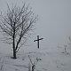 Nojby na vrcholu Popovská hora (19.1.2021 11:19)