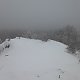 Nojby na vrcholu Popovská hora (19.1.2021 11:19)