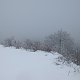 Nojby na vrcholu Popovská hora (16.2.2021 11:29)