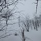 Nojby na vrcholu Popovská hora (16.2.2021 11:29)