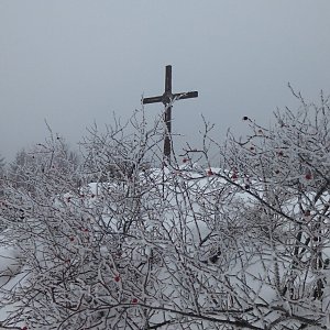 Nojby na vrcholu Popovská hora (16.2.2021 11:29)