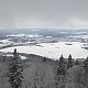 Nojby na vrcholu Popovský kříž (19.1.2021 10:17)