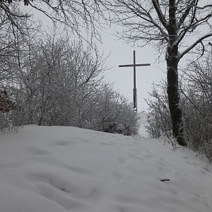 Nojby na vrcholu Popovský kříž (19.1.2021 10:17)