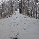 Nojby na vrcholu Popovský kříž (19.1.2021 10:17)