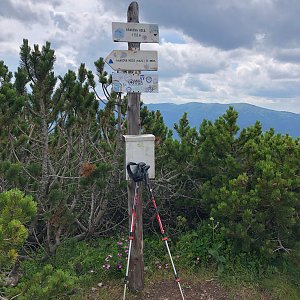 Radka D na vrcholu Krakova hoľa (7.7.2022 14:44)