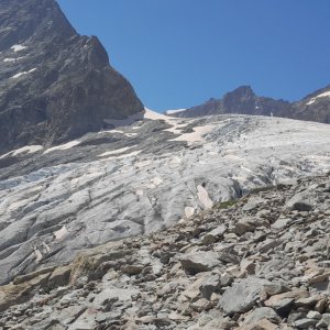 Krtek on the summit of Dôme de Neige des Écrins (2.8.2024 11:00)