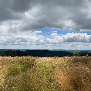 Mertelici na tripu na vrcholu Jelení vrch (2.8.2022 11:57)