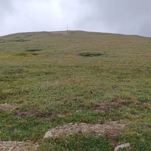 PA!WELL on the summit of Ceripašina (25.7.2026 10:51)