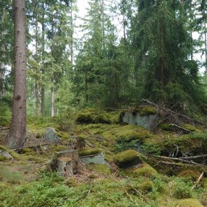 Nojby on the summit of Wellersberg (5.8.2026 12:58)