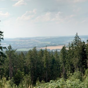 Nojby on the summit of Hauknock (5.8.2026 16:31)