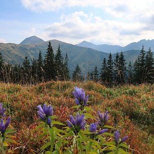 Šárka na vrcholu Roh (13.9.2020 15:21)
