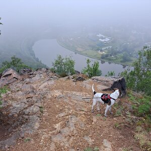 Horalka Anička on the summit of Řivnáč (25.5.2024 8:44)