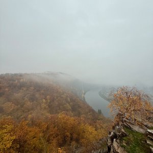 TeKilla on the summit of Řivnáč (2.11.2025 10:05)