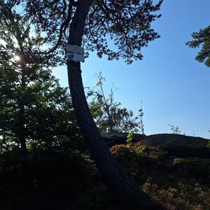 Cyklista 73 na vrcholu Vysoký kámen (7.9.2024 9:57)