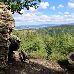 Šárka na vrcholu Vysoký kámen (5.7.2020 15:58)