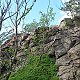 Šárka na vrcholu Vysoký kámen (5.7.2020 15:58)