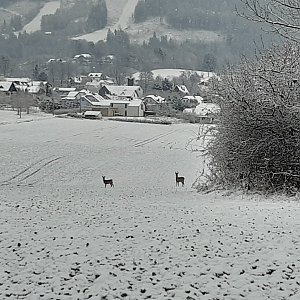 Krásná-Frýdlant (Beskydy v+v)