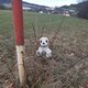 ZdenkaV na vrcholu Grigarův kopec