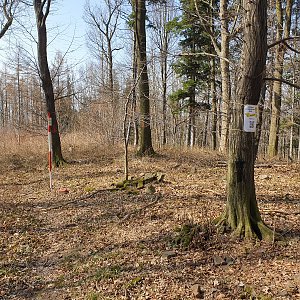 Petr Pepe Peloušek na vrcholu Štramberčík (26.3.2022 11:01)