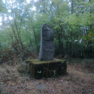 Fin on the summit of Čeřenice (22.8.2026 9:14)