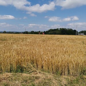 Šárka na vrcholu Bahno (14.7.2024 14:38)