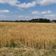Šárka na vrcholu Bahno (14.7.2024 14:38)