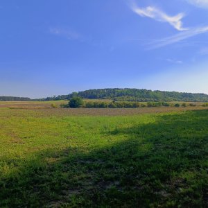 Tor on the summit of Hněvický vrch (27.8.2026 9:15)