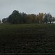 Anna na vrcholu Panský vrch (28.10.2020)