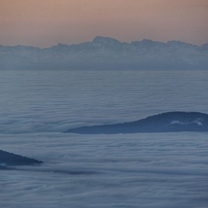 Lenoxka na vrcholu Plechý (21.2.2021 6:05)