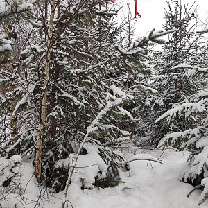filipka on the summit of Kozinec (5.2.2023 9:42)