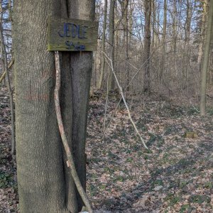 Iva Purmenská na vrcholu Jedle (2.3.2025 14:40)