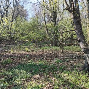 Zdena Trommler na vrcholu Jedle (12.4.2025 16:27)