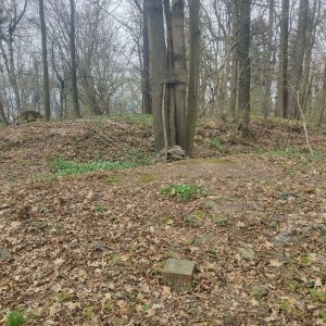 Zdena Trommler na vrcholu Jedle (13.4.2025 14:28)
