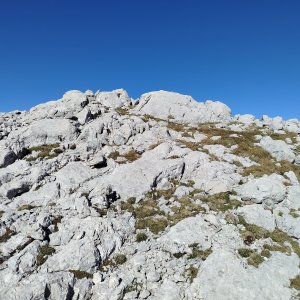 Jan Blažej on the summit of Wildklapf S (4.9.2026 16:25)